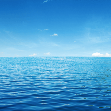 Thales Conducts Mine Countermeasure Drone Sea Trials for UK, French Navies sea