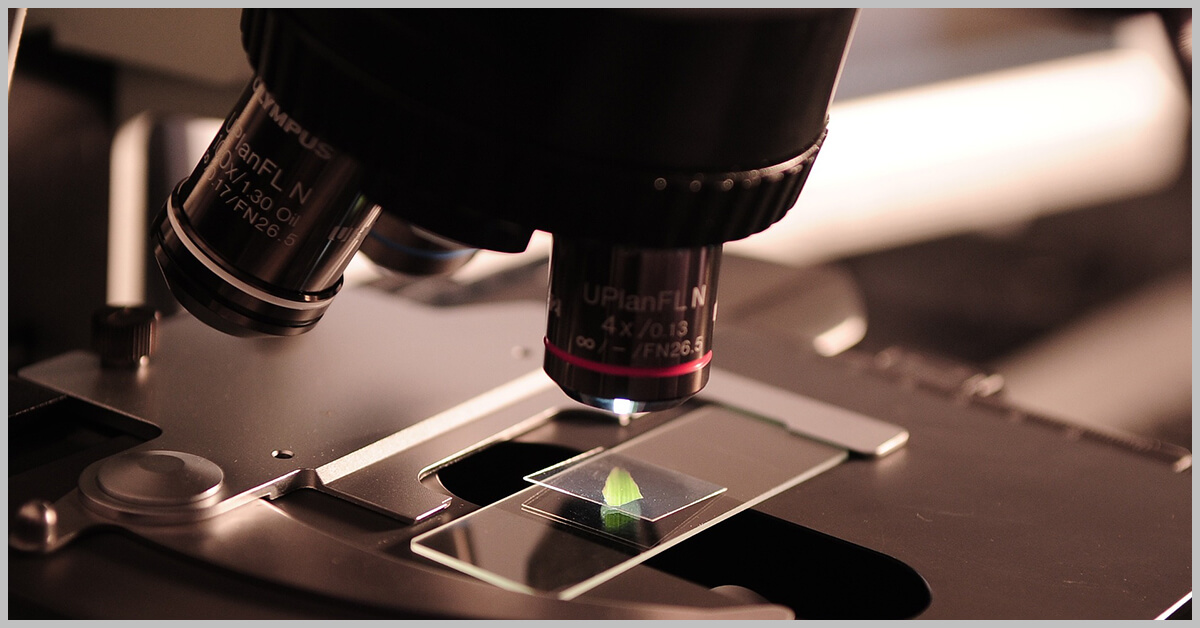 Evidence-based guidance US, UK, Canada, Australia, New Zealand Pledge to Deepen Scientific Collaboration